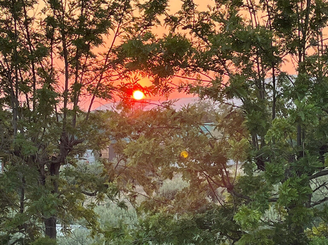 Hotel Miralago主图