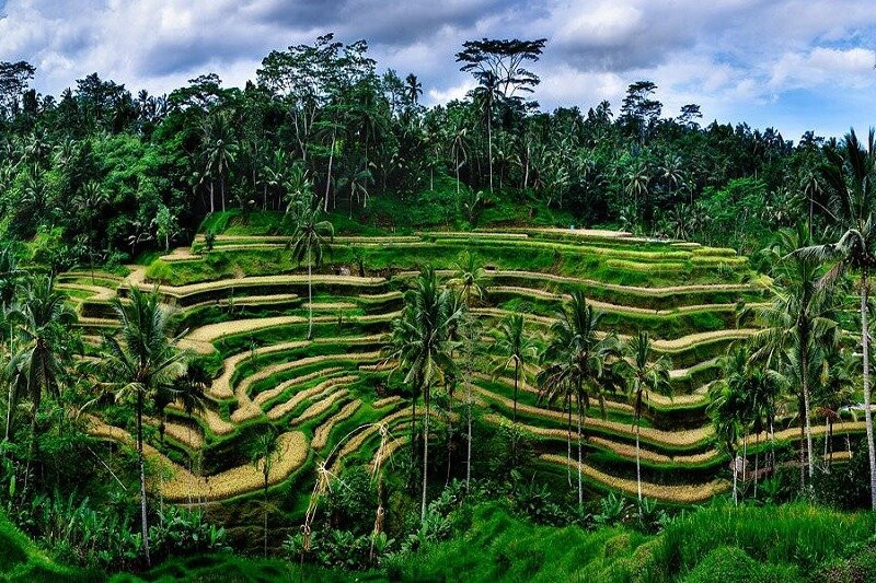 Bali Gate Tours-乌布必去景点
