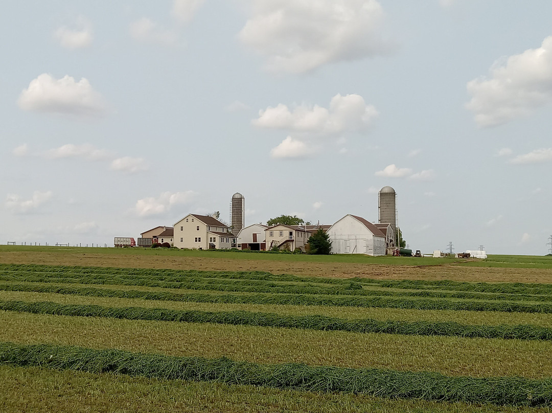 La Quinta Inn & Suites by Wyndham Lancaster主图