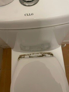莫瑞斯酒店主图