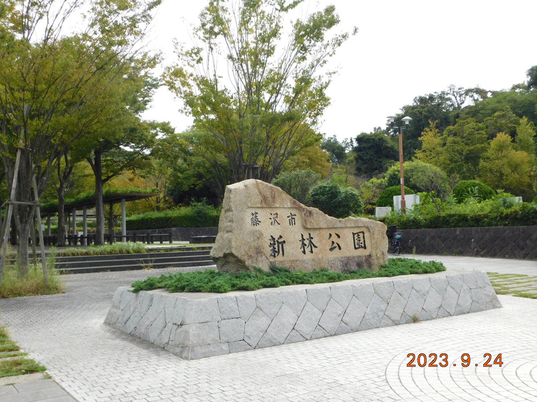 Shinbayashi Park-藤泽市必去景点
