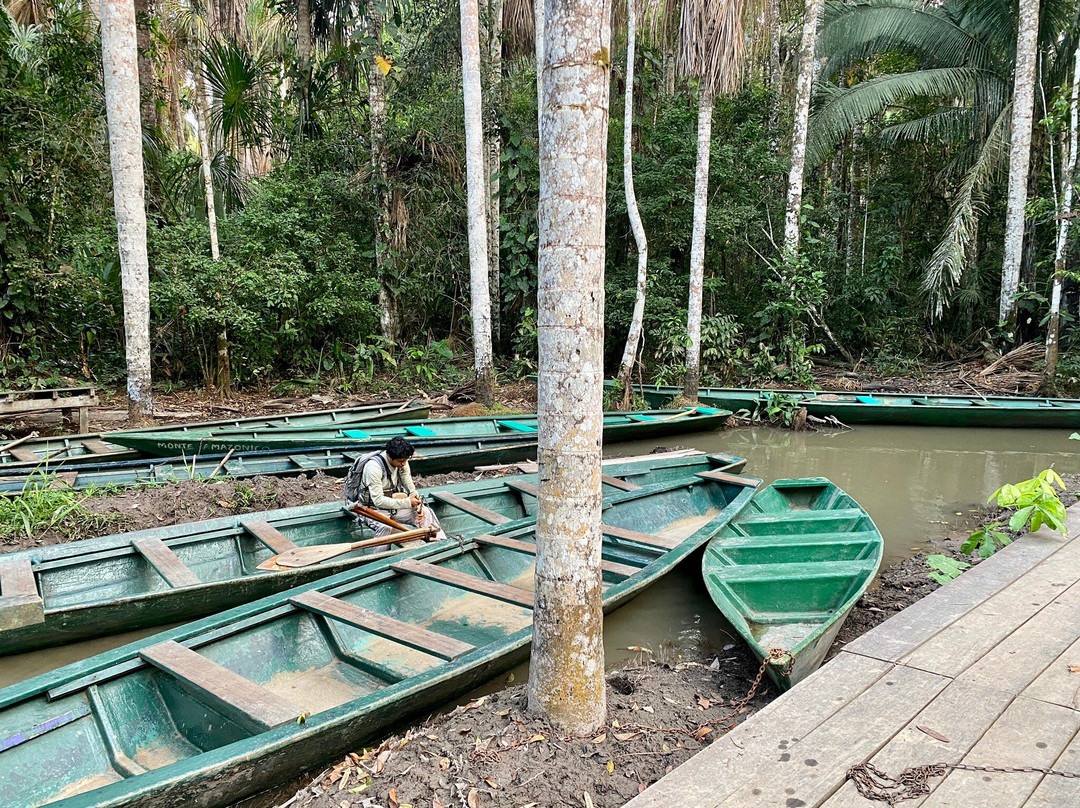 Tambopata National Reserve景点图片
