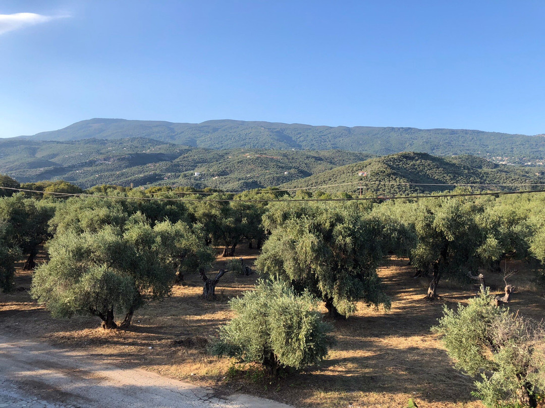 Palirria Hotel主图