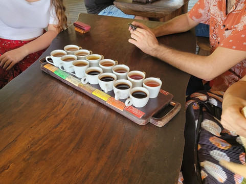 Bali Paradise Tours-登巴萨必去景点