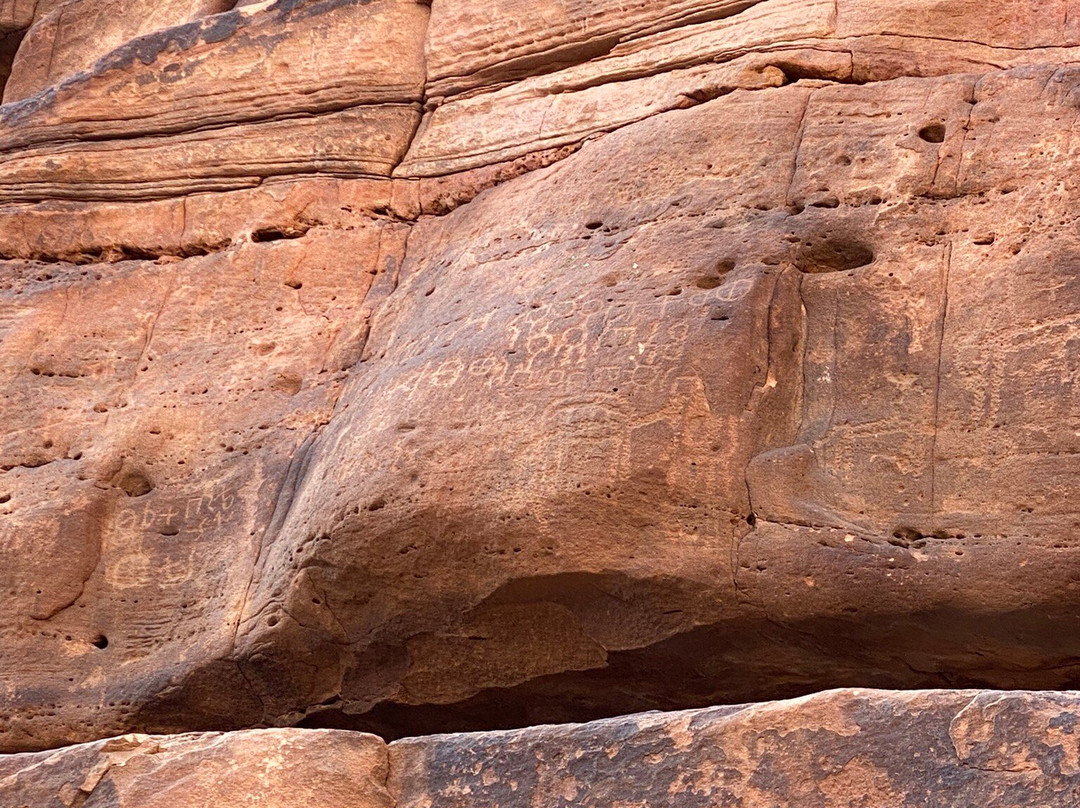 Wejhat Tours-Tabouk必去景点