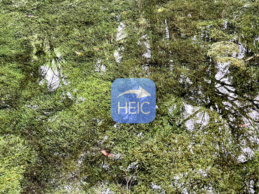 Ikeyama Spring景点图片