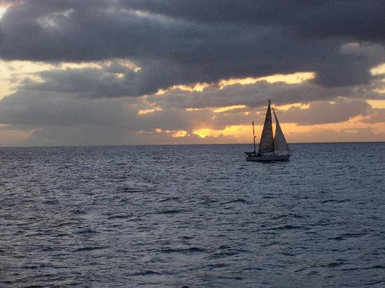 Atlantis Submarines Maui-拉海纳必去景点