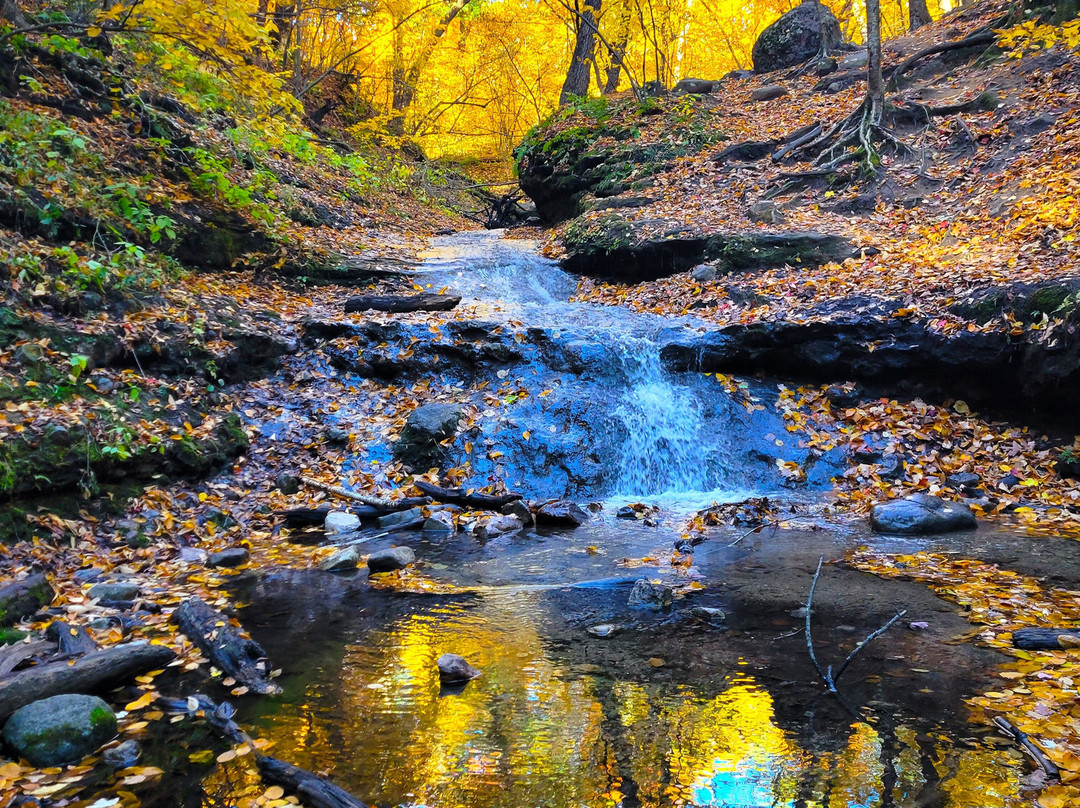 Parfrey's Glen-巴拉布必去景点