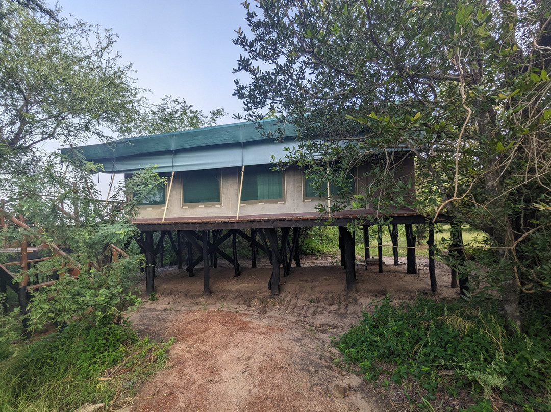 Selous Impala Camp主图