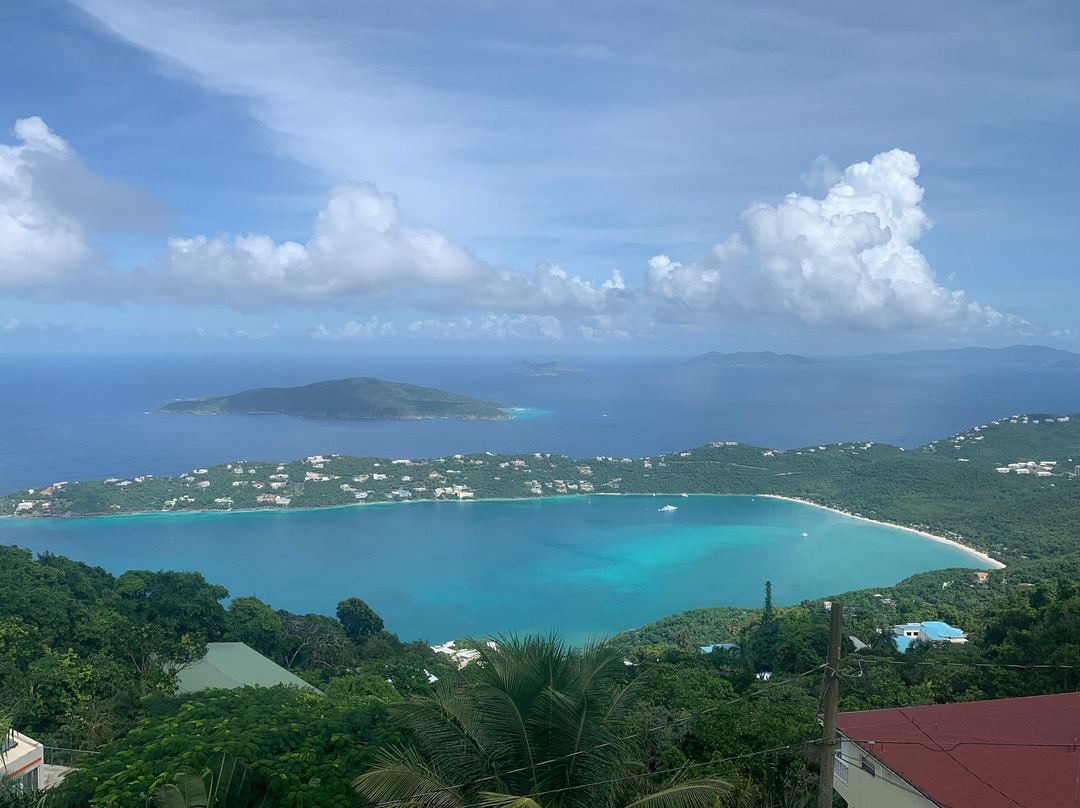 Big Love Taxi-夏洛特阿马利亚必去景点