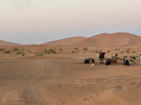 Moroccan Food Tour-马拉喀什必去景点