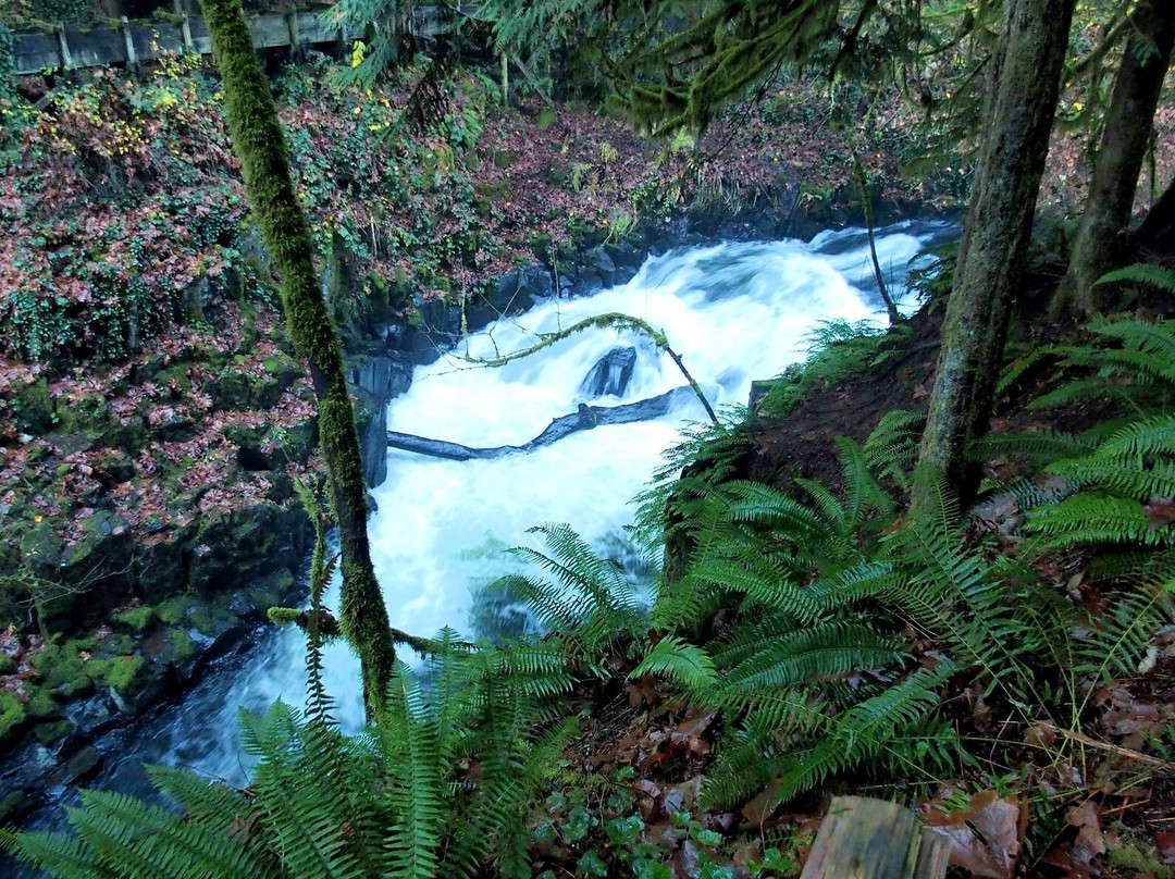 Cedar Creek Grist Mill景点图片