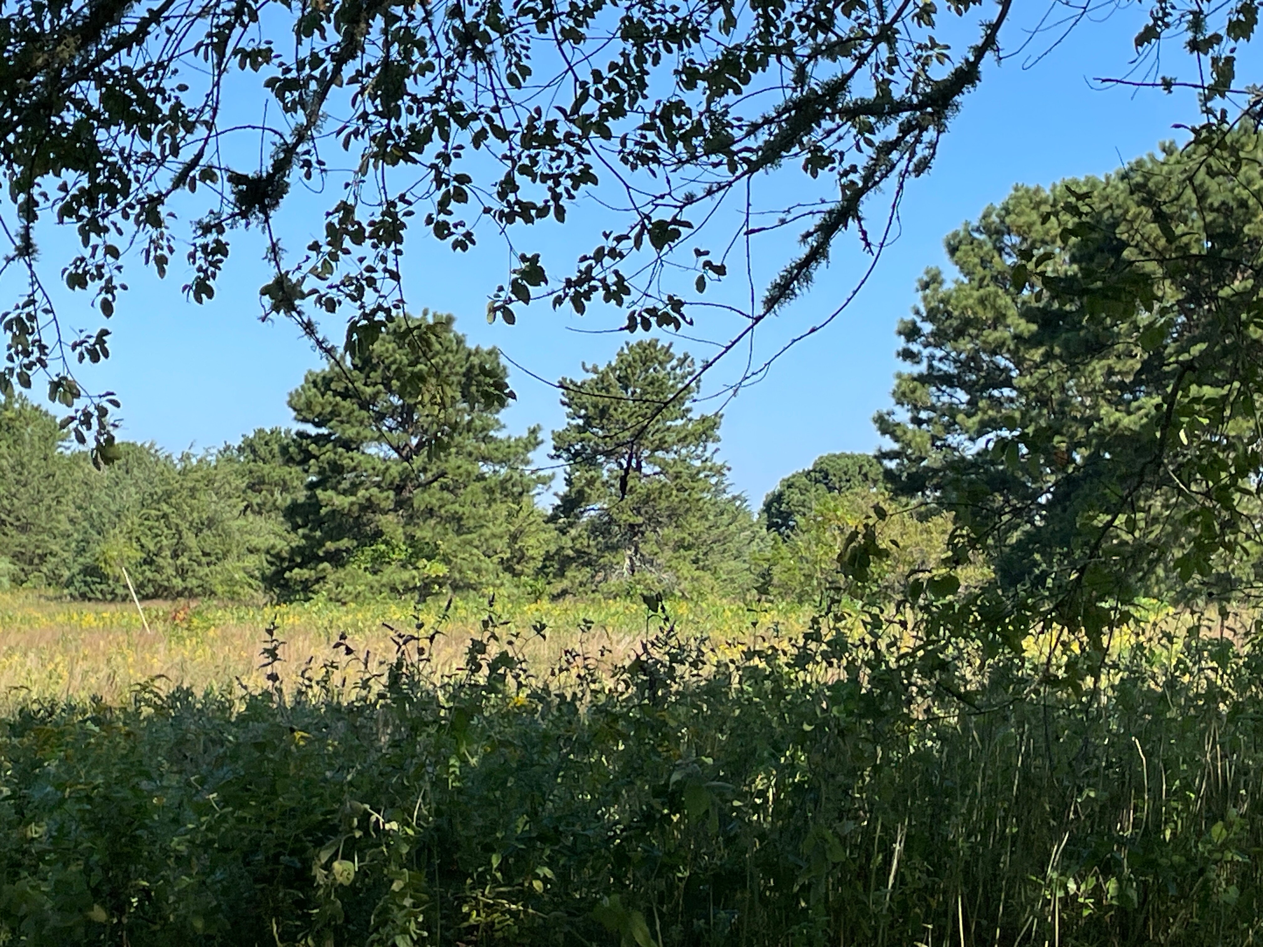 The Broad Meadow Bed & Breakfast-浴室