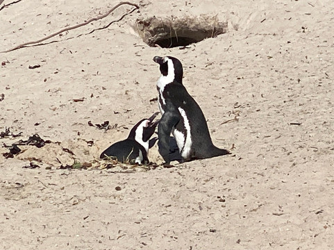 Travel with Andre-斯泰伦博斯必去景点