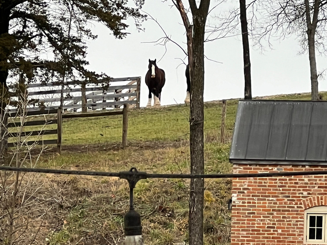 Hermann Farm-赫曼必去景点