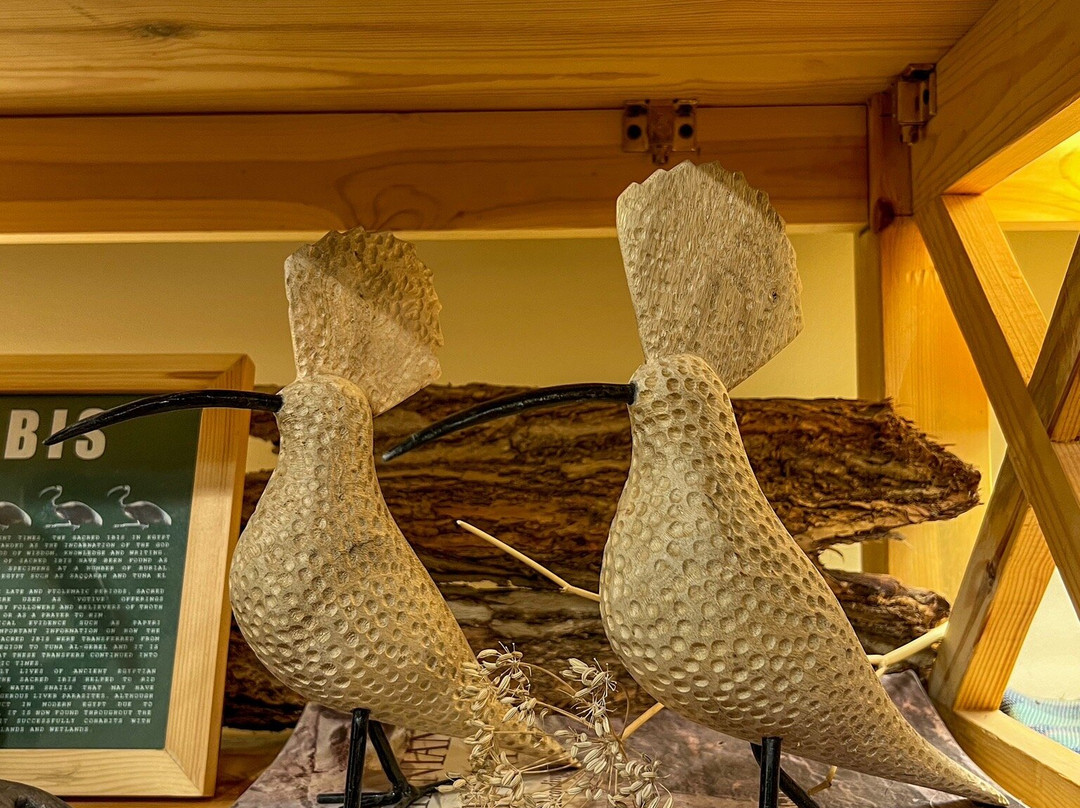 To A Skylark-Tunis必去景点