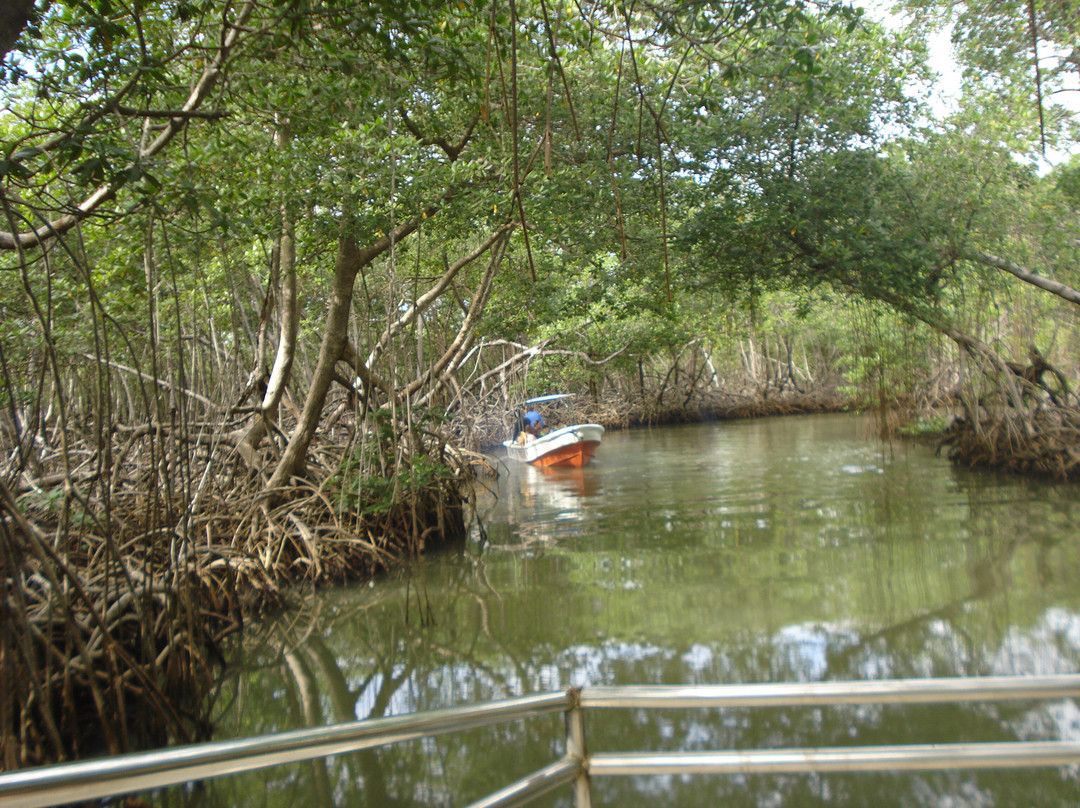 Sultana Tours & Experience-Sabana de la Mar必去景点