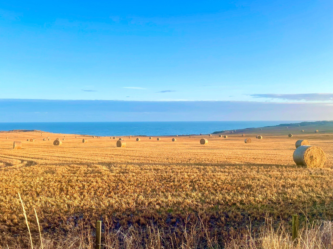 Longhaven Cliffs-Peterhead必去景点