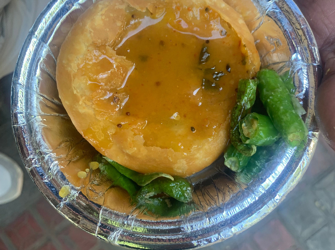 Tour Guide In Udaipur-乌代布尔必去景点