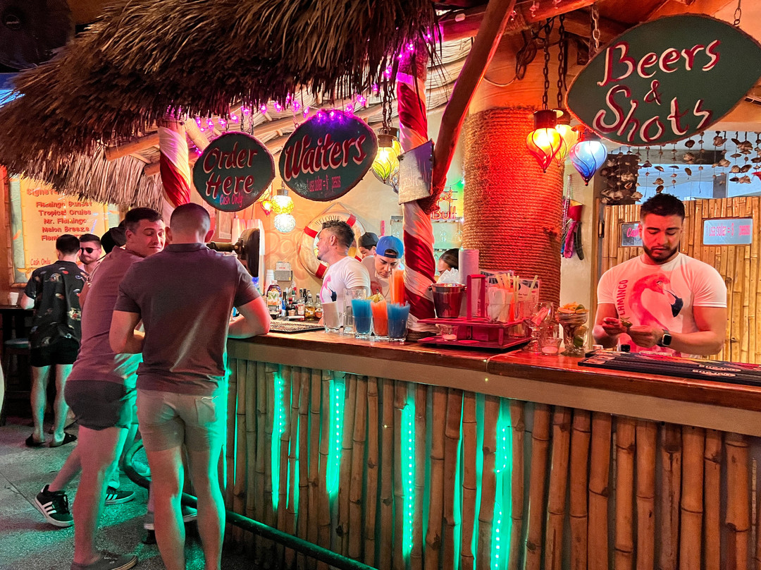 Mr. Flamingo-瓦拉塔港必去景点