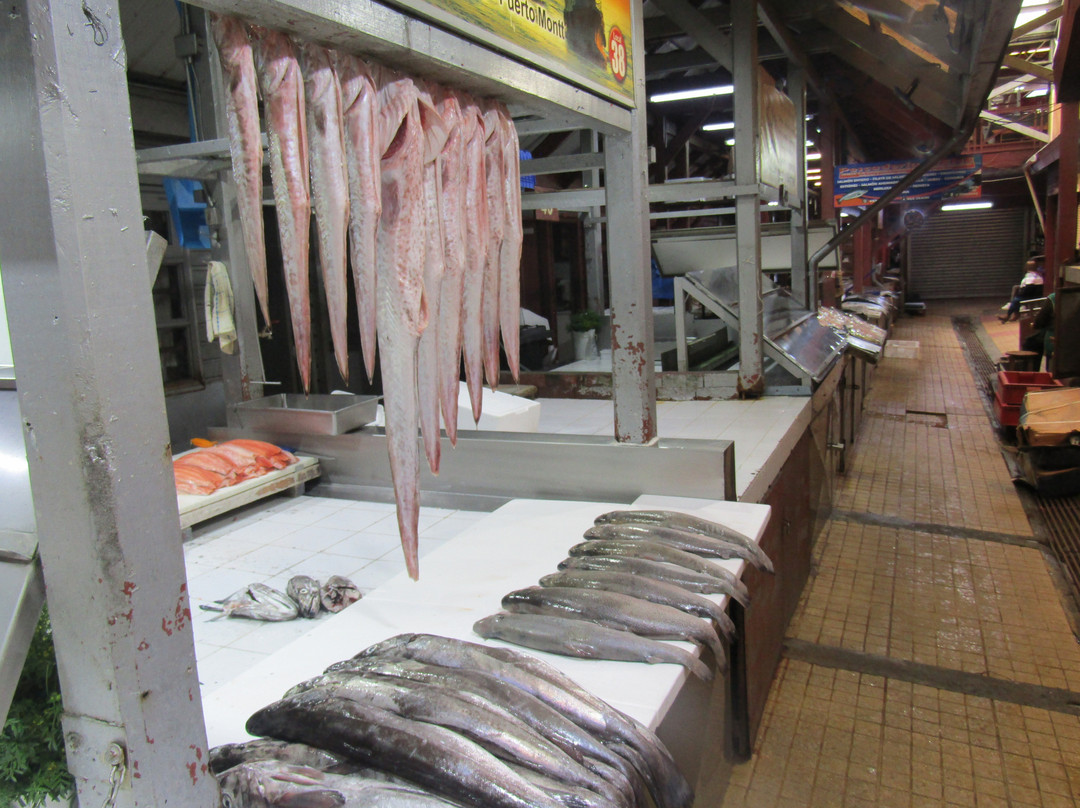 Mercado Tipico Angelmo-蒙特港必去景点