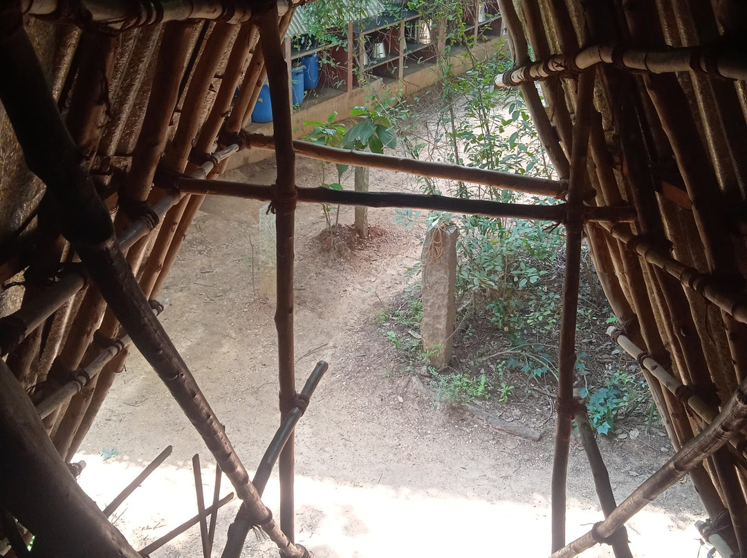 Sadhana Forest-Auroville必去景点