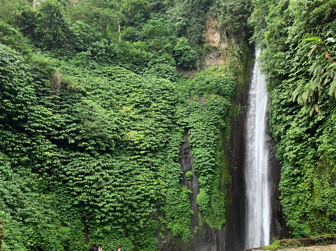 Dewa Bali Tours-乌布必去景点