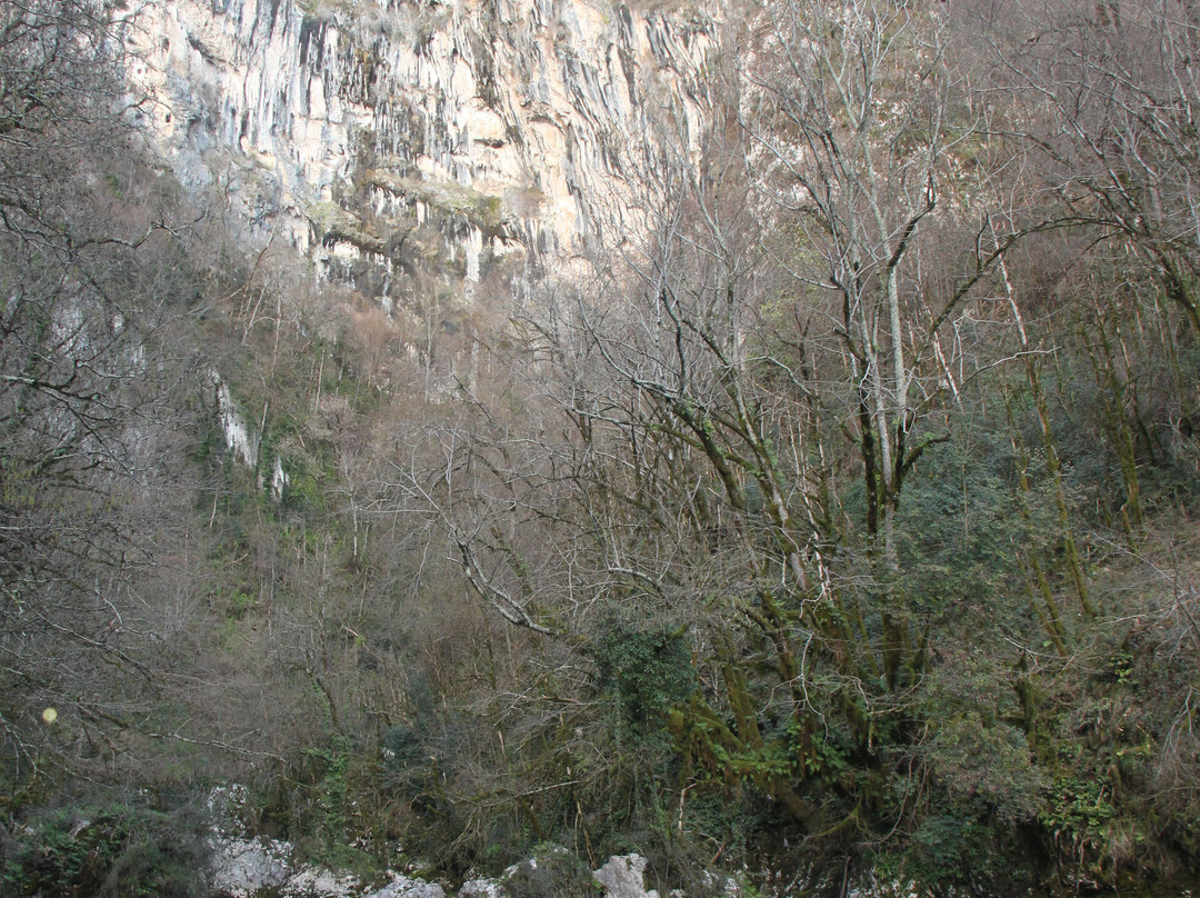 Trout Farm Chernorechenskoye-Gudaut'a必去景点