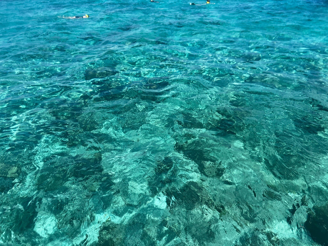 Buck Island Cove-圣克鲁斯必去景点