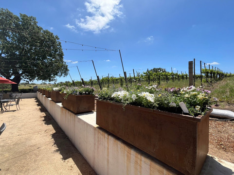 Gainey Estate Vineyards & Tasting Room-圣伊内斯必去景点