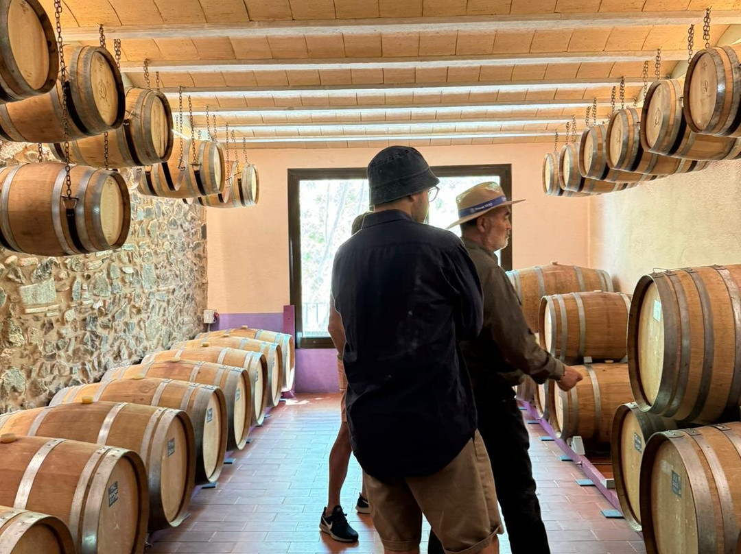 ALVAREZ DURAN PRIORAT景点图片