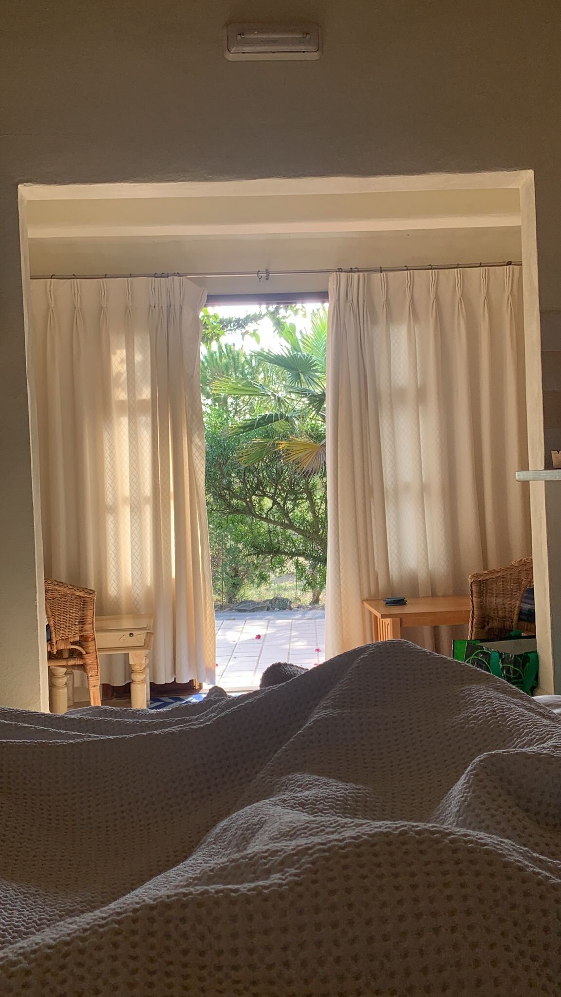 Finca Son Jorbo-酒店景观