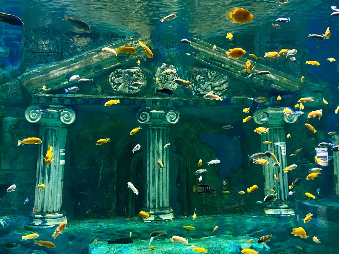 Deniz Dunyasi-安卡拉必去景点