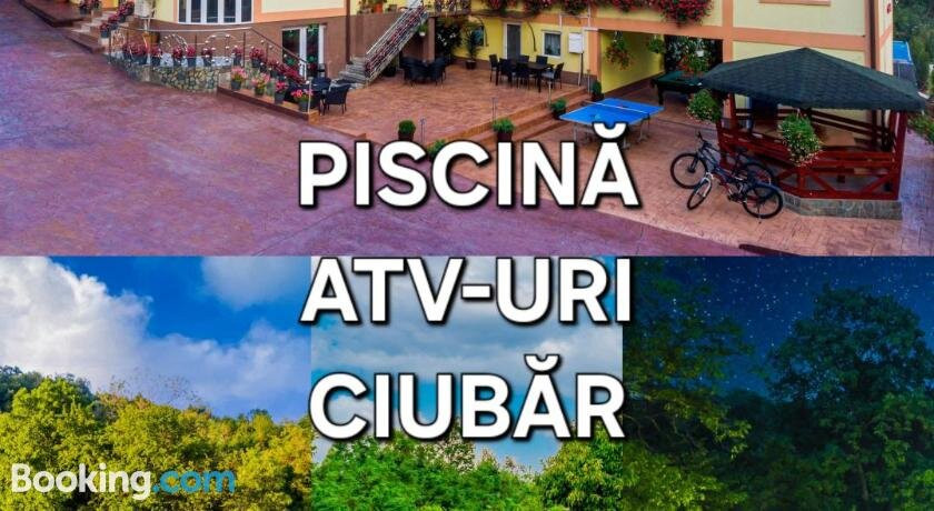 Pensiunea Mihaela主图
