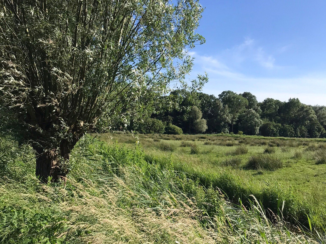 Park de Oeverlanden-阿姆斯特丹必去景点