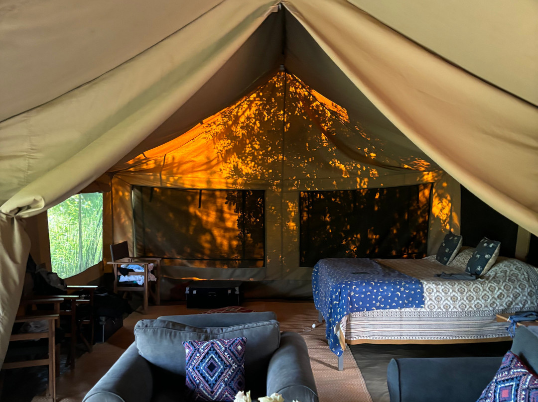 Moon's Camp - The Safari Series Lolldaiga