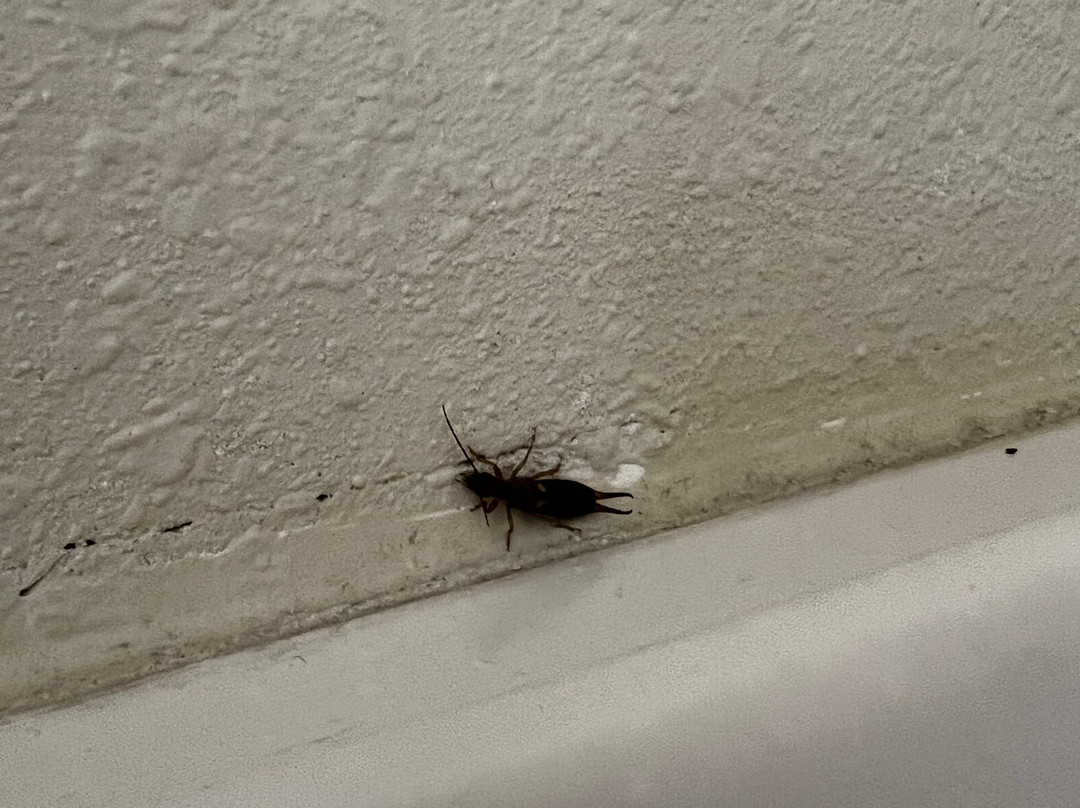 Baymont by Wyndham Waterloo主图