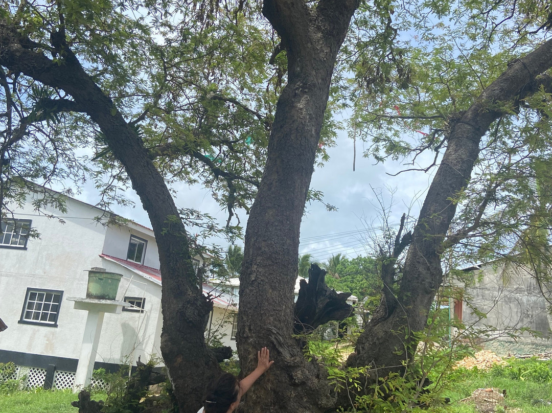 Primera Iglesia Bautista Hispana-圣安德烈斯必去景点