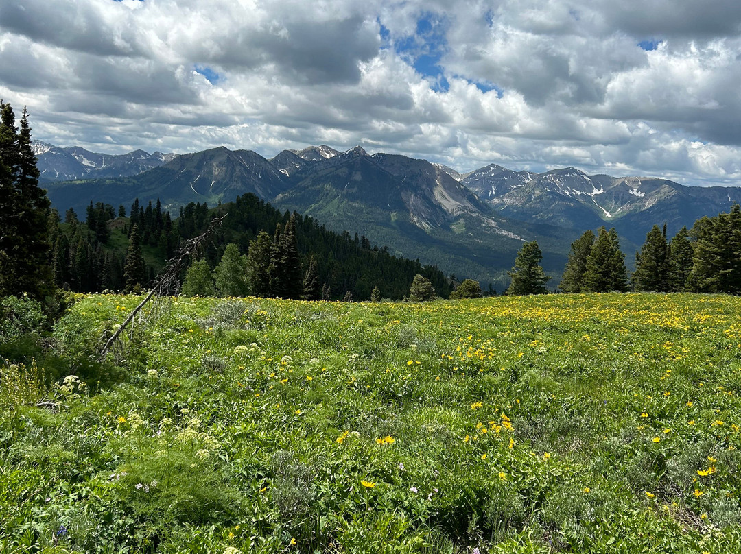 Jackson Hole Outfitters-Alpine必去景点