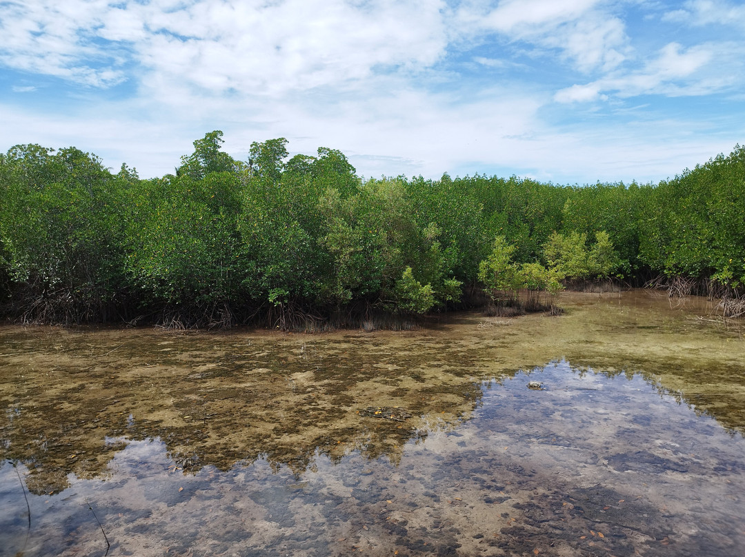 Omagieca Mangrove Garden-班塔延岛必去景点