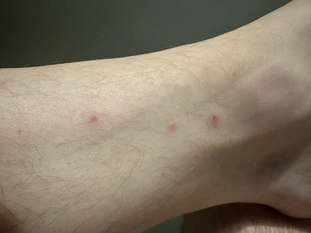 曼彻斯特机场速8酒店主图