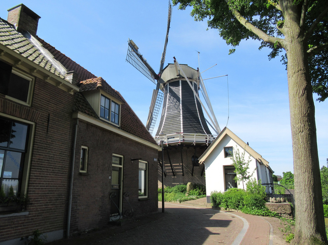 Molen De Fortuin景点图片