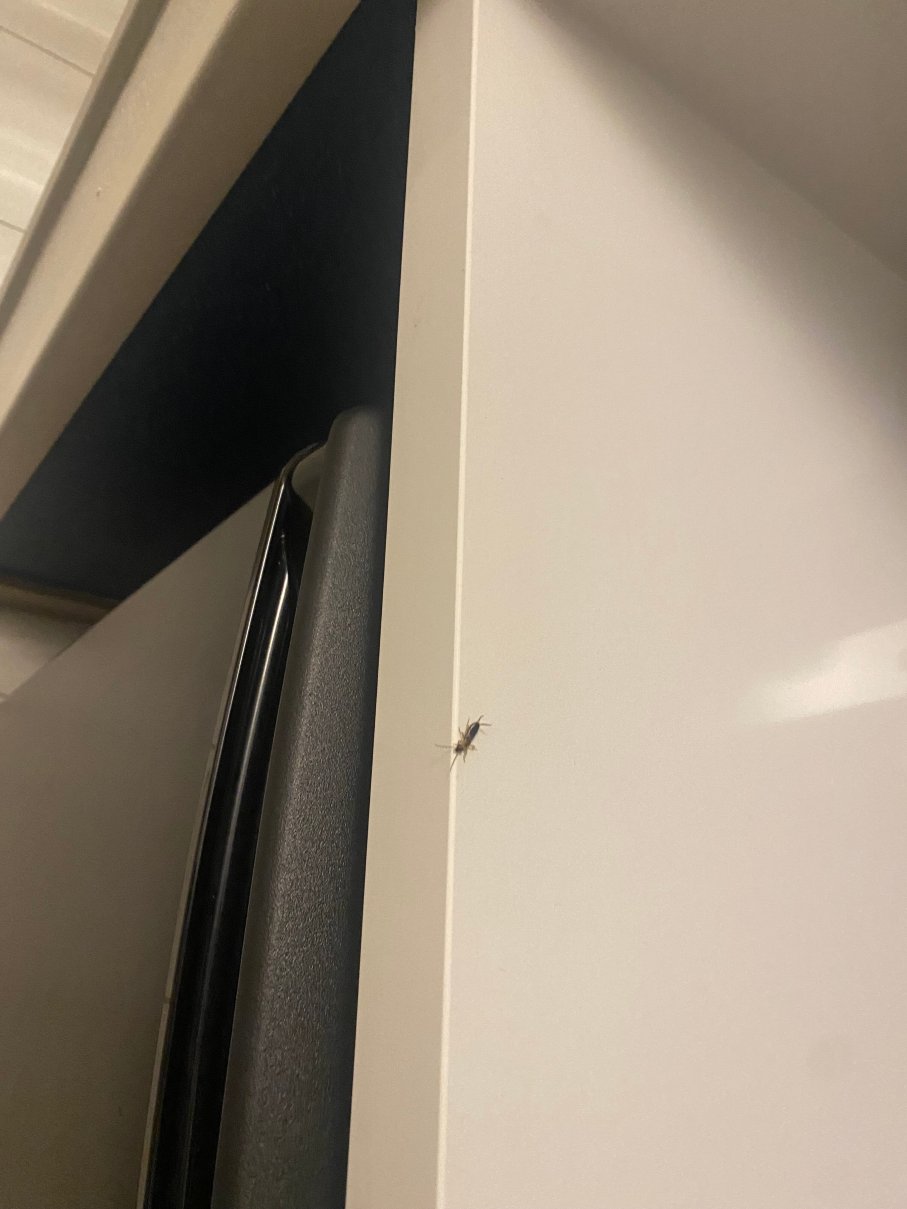 Holiday Inn Express & Suites WILLIAMSTOWN - GLASSBORO by IHG-官方