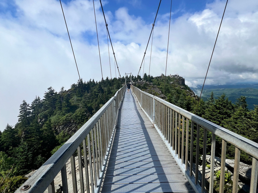Mile High Swinging Bridge景点图片