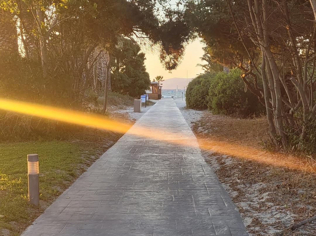 Caravia Beach Hotel & Bungalows主图