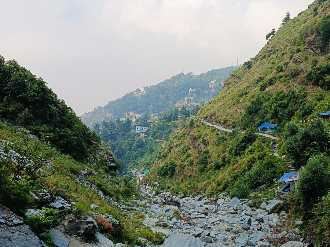 TAKE ME TO HIMALAYAS景点图片
