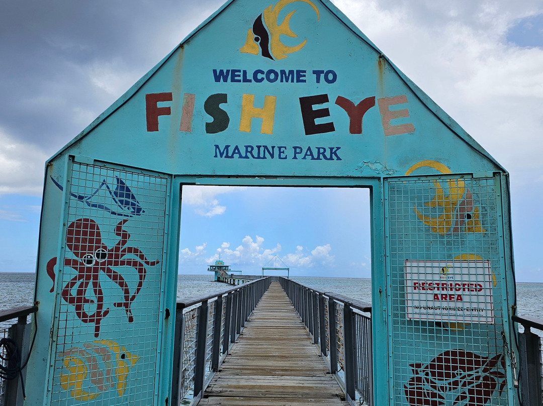 鱼眼海洋公园-Piti必去景点