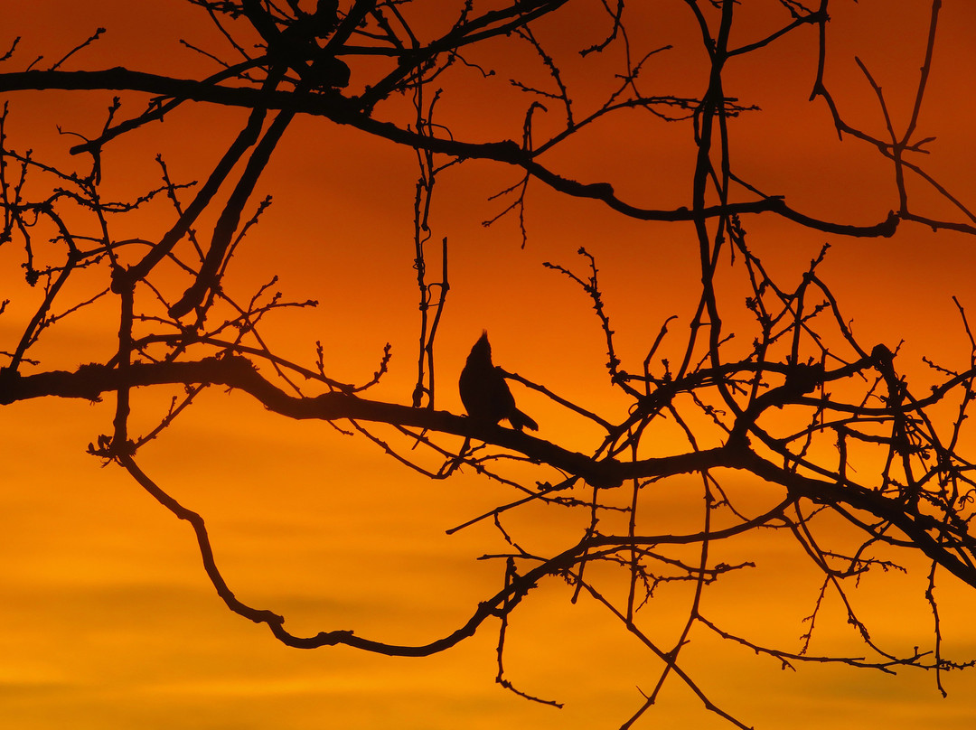 贝斯特韦斯特马纳萨斯酒店主图