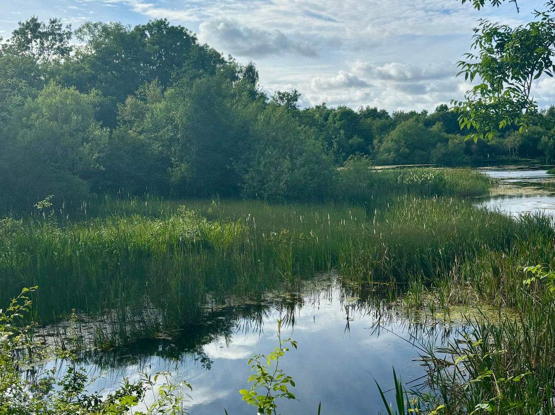 Rainton Meadows Nature Reserve & Visitor Centre-Houghton-le-Spring必去景点
