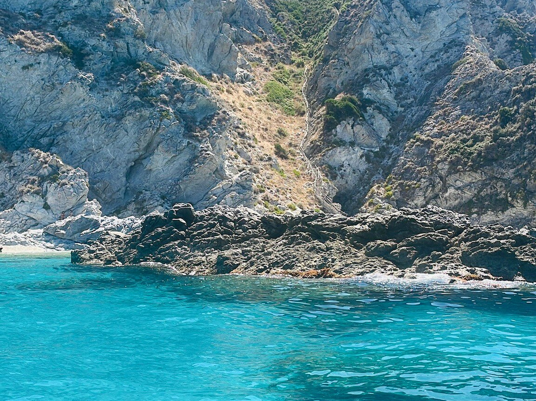 Noleggio Nautico Shark Bay景点图片